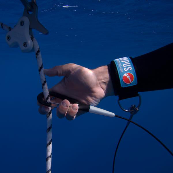 blue competition lanyard /// 100cm